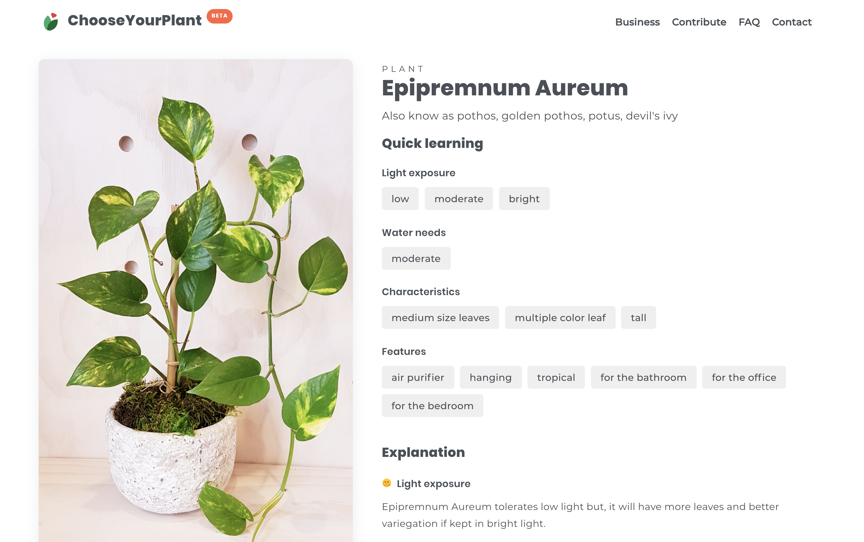 Aspecto visual de la búsqueda de una planta en la aplicación Chooseyourplant